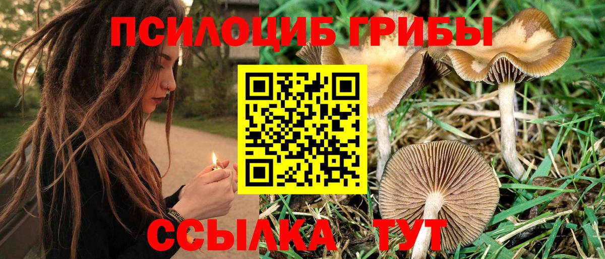 Псилоцибиновые грибы GOLDEN TEACHER  Вход с VPN  Тосно 